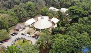 Lekki Conservation Center Attraction in Lagos Top Attraction in Lagos