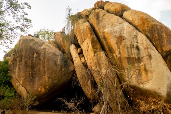 Old Oyo National Park: Where History Meets the Wild