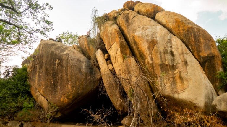 Old Oyo National Park: Where History Meets the Wild