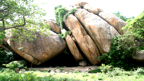 Old Oyo National Park: Where History Meets the Wild