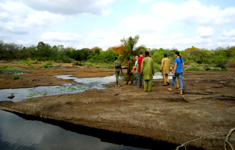 Old Oyo National Park: Where History Meets the Wild