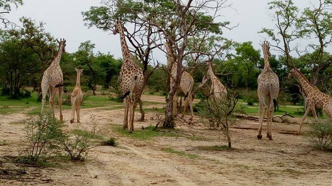 Nigeria's Famous Historic Sites