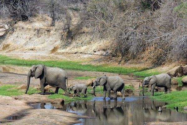 Nigeria's Eco-Tourism Spots.