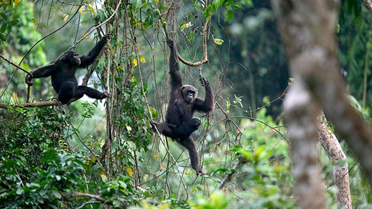 Eco-Tourism Spots in Nigeria.