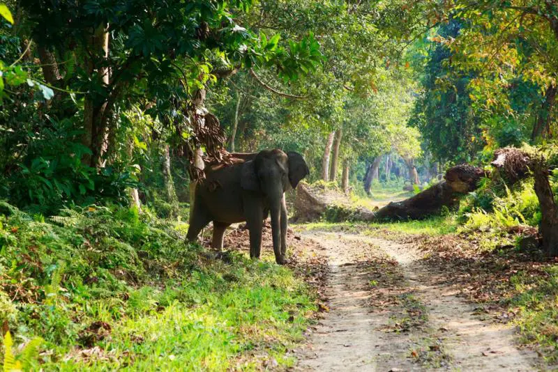 Experience Taraba State: Best Spots for Ecotourism and Wildlife