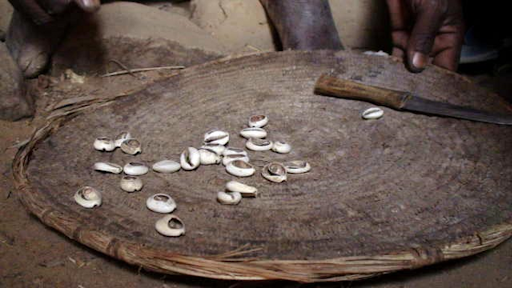 Nigeria’s Ancient Currencies: Cowries, Brass, and the Origins of Trade