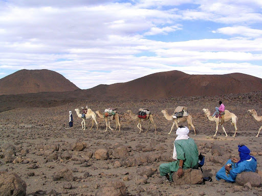 The Trans-Saharan Trade Routes