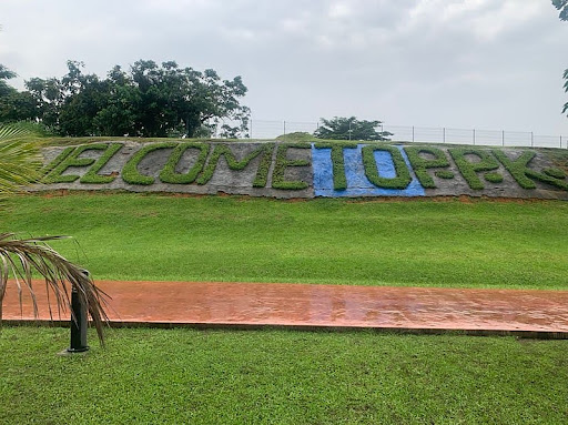 Fun activities at Rivers State Pleasure Park, including boat rides and zip-lining.