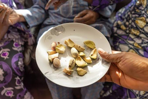 The Significance of the Kola Nut in Nigerian Social Gatherings and Ceremonies