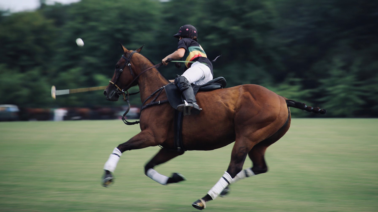 Jos Polo Club: Legacy of Equestrian Excellence in Plateau State