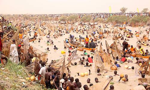 How to Experience the Thrilling Argungu Fishing Festival in Kebbi State, Nigeria