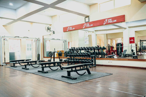 Gym Starllion