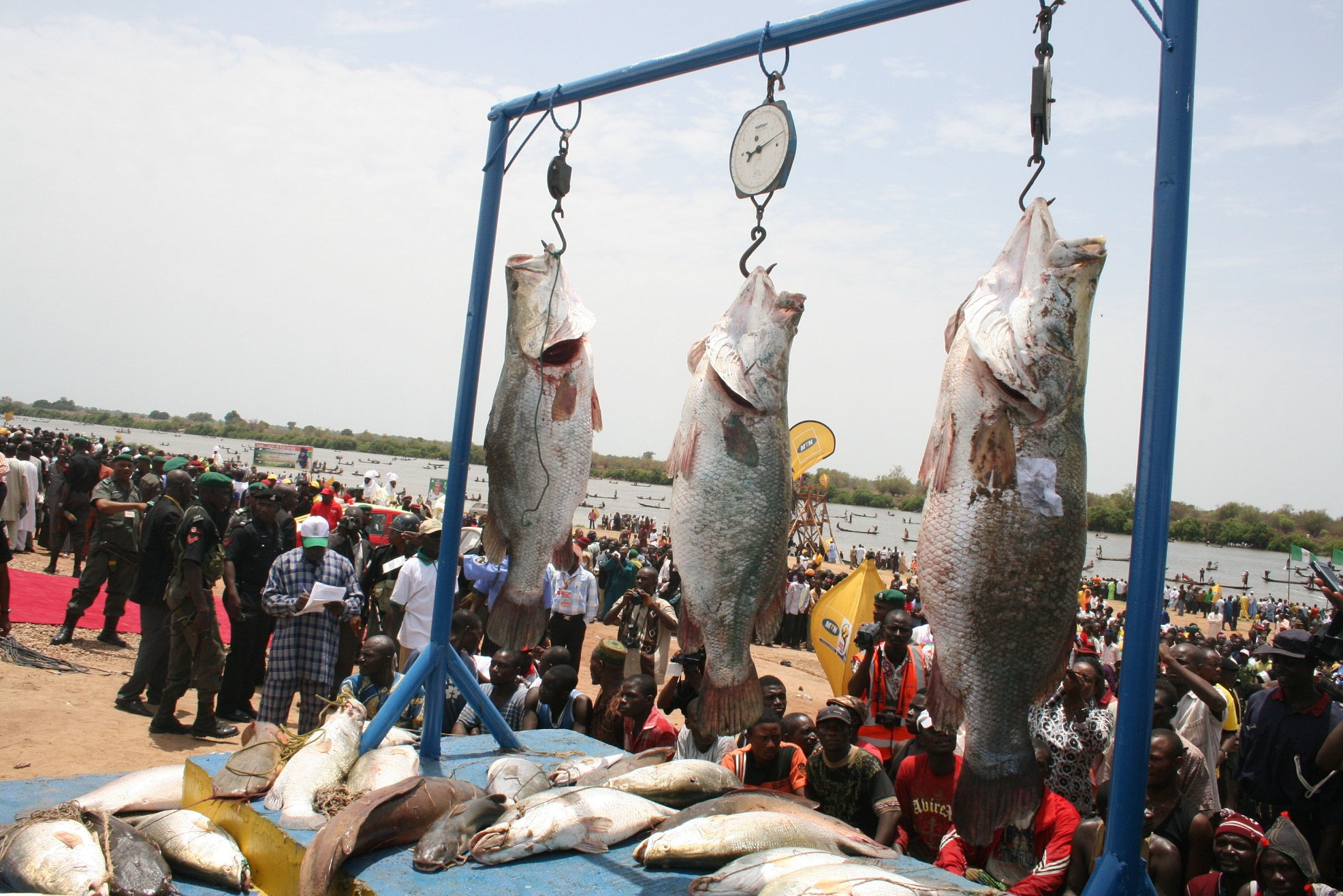 Yinagu Fishing Festival: A Timeless Tradition in Adamawa