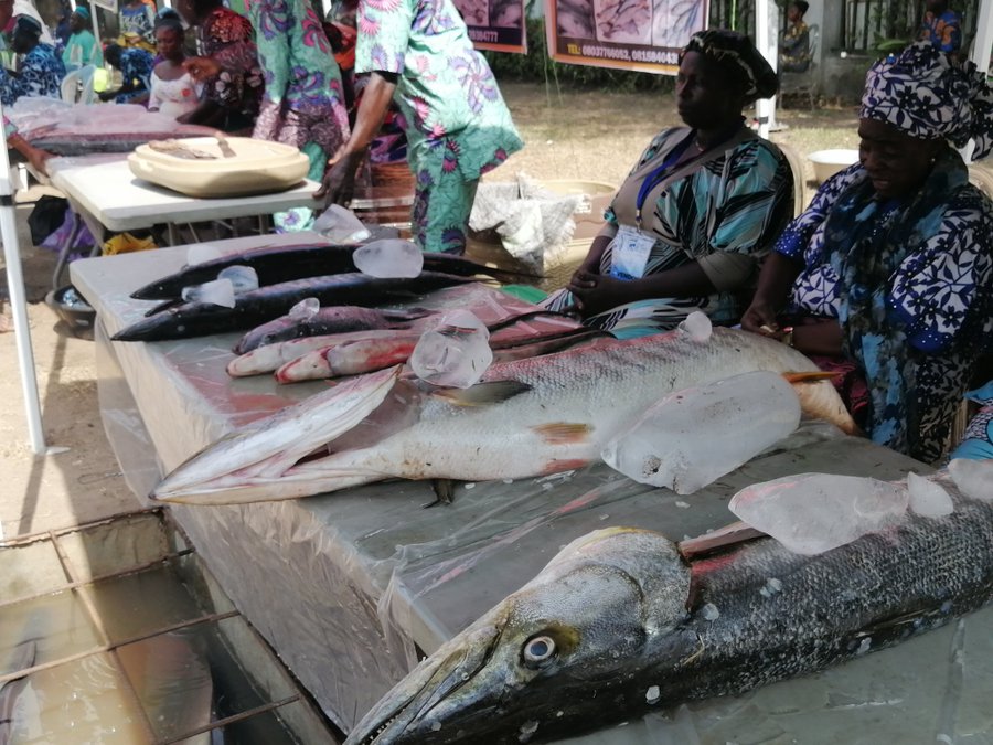 Lagos Seafood Festival 2025: Boosting Tourism with Culinary Delights