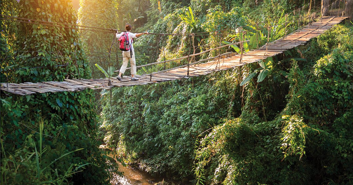 Real-Life Examples of Community-Based Ecotourism