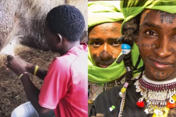 Nomadic Tourism in Nigeria: Experience the Pastoral Way of Life with Indigenous Herders