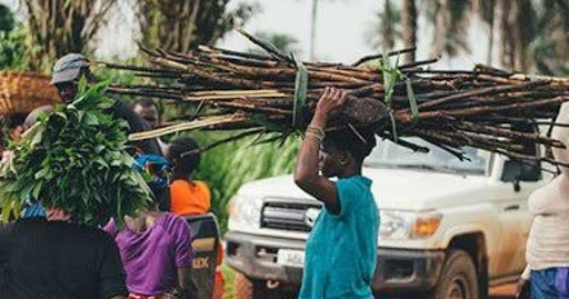 How Indigenous Knowledge Can Inspire Sustainable Living in Nigeria