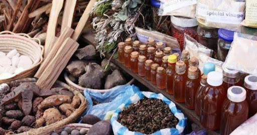 Herbal Medicine and Traditional Healing: Sustainable Healthcare Solutions