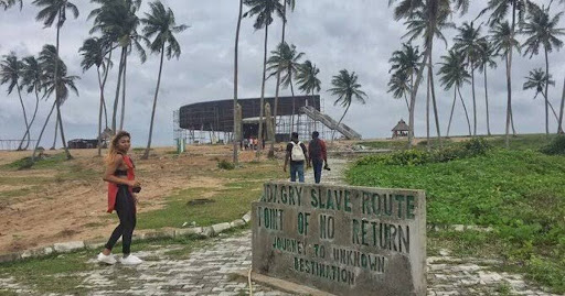 Explore the Wild Side Without Wrecking It