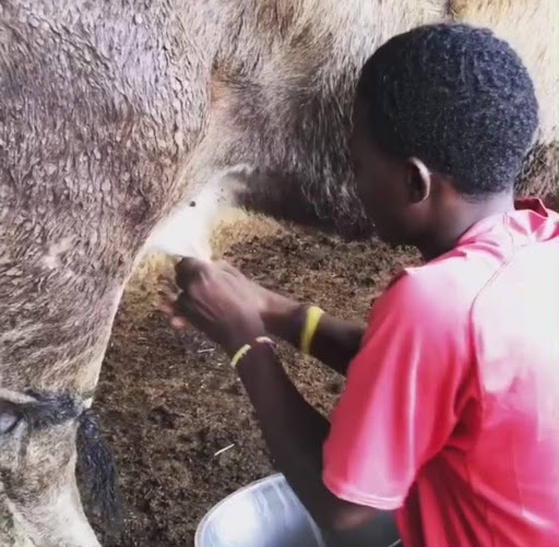 The Best Places for Nomadic Tourism in Nigeria