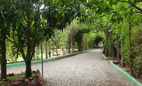 Green House Farms and Resorts