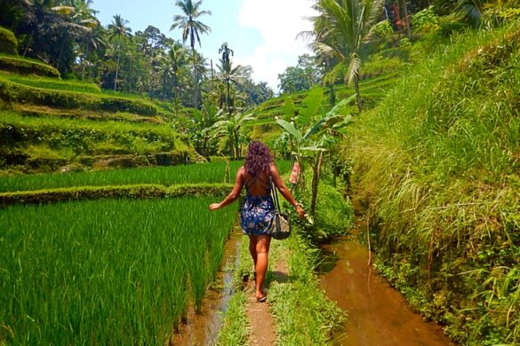 Solo Travel in Nigeria: A Fearless Gen Z Guide