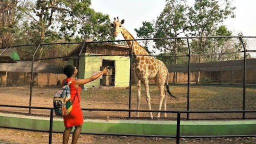 Oyo State Set to Showcase Tourism Potential at International Summit in July