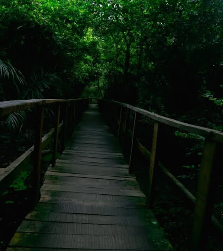 Lekki Conservation Centre, Lagos State