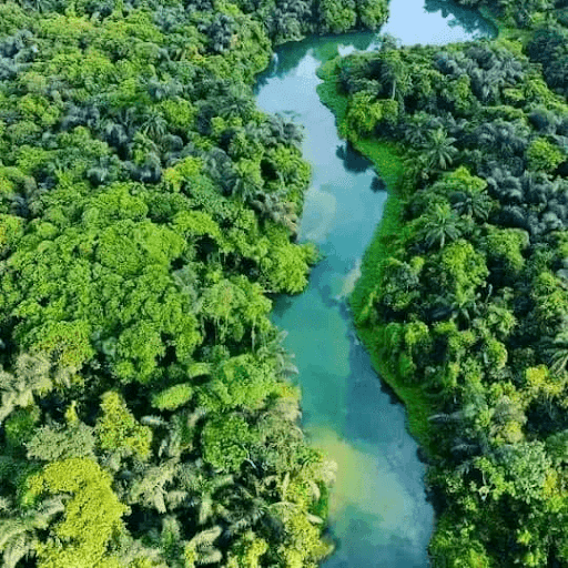 Aerial view of Azumini blue river, one of the best Instagrammable places in Southeast Nigeria. 