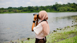 Bird Watching in Nigeria