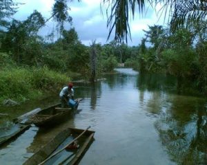 Kayaking spots in Nigeria - Otamiri River