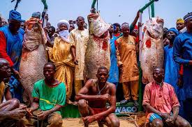 Will Argungu Fishing Festival Survive? Nigeria's Iconic Tradition Faces Ecological Collapse