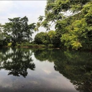 abakaliki green lake