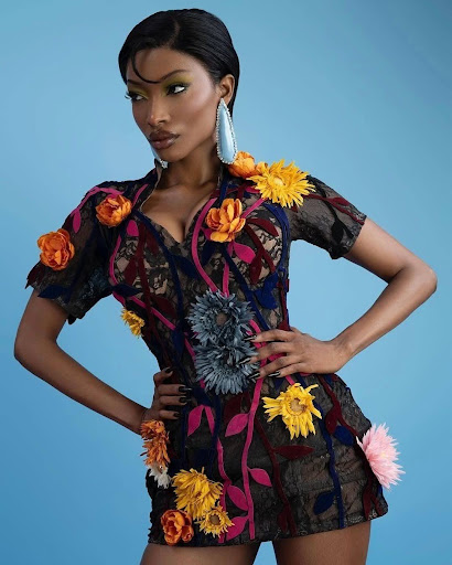 Notable Collections and Milestones 