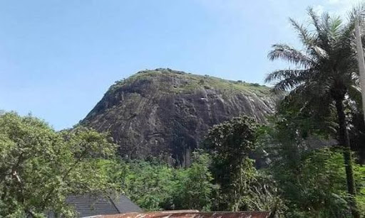 Art and Cultural Expression