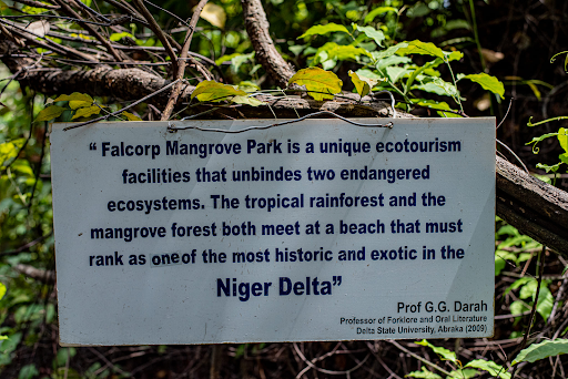 Mangrove Restoration in Nigeria: Protecting Communities, Culture, & Coastlines