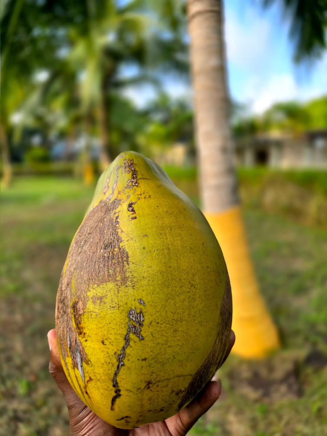 Whispering Palms Resort (Badagry)