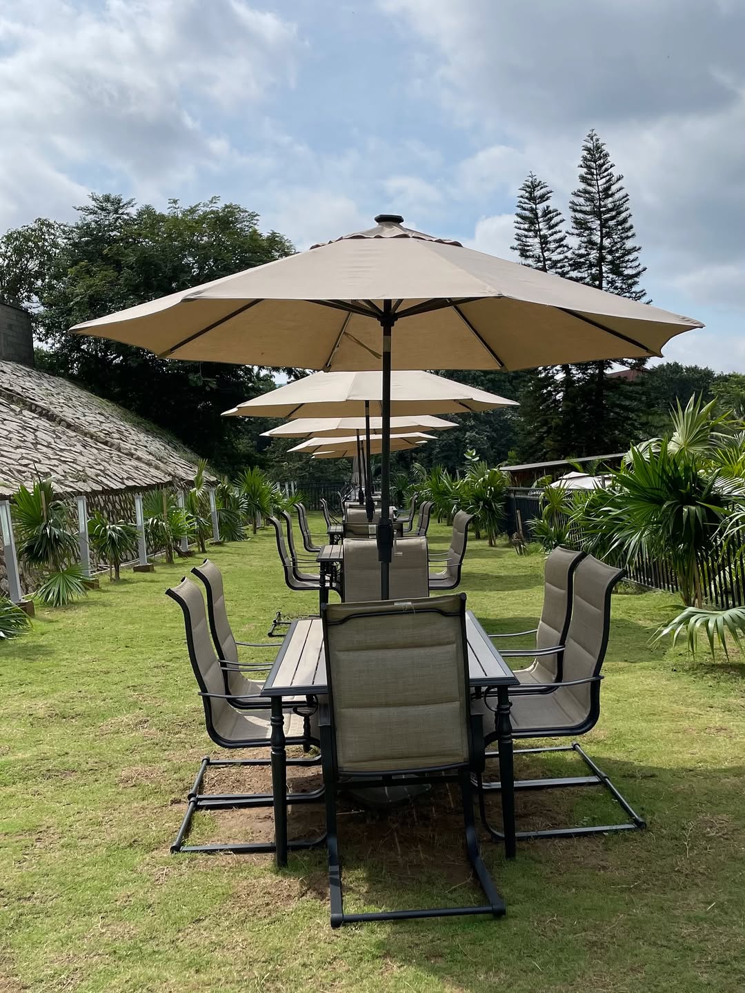 The Panini and Juice Bar: Your Delicious Stop Among Places to Visit in Abuja