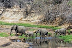 Gashaka Gumti Wildlife Lodge – Taraba State