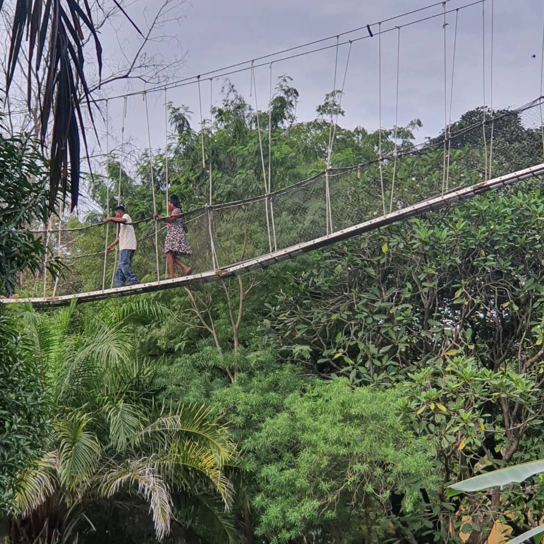 Hidden Gems for the Explorer 