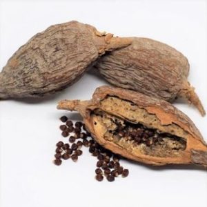 Alligator pepper seeds, a traditional Nigerian spice and medicinal plant used for digestive health and antimicrobial purposes.