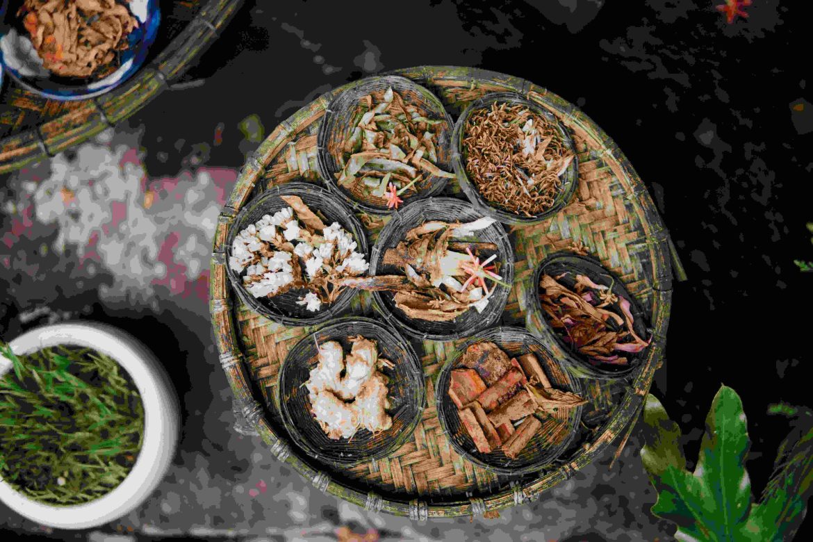 Medicinal plants in Nigeria symbolizing the link between biodiversity and traditional medicine