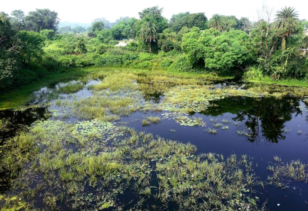Oil spill in the Niger Delta showing polluted water and damaged environment, symbolizing the struggle for ecological justice in Nigeria