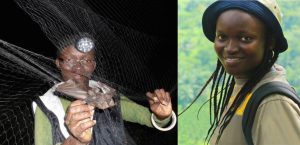 Dr. Iroro Tanshi-discovering lost bat in Nigeria