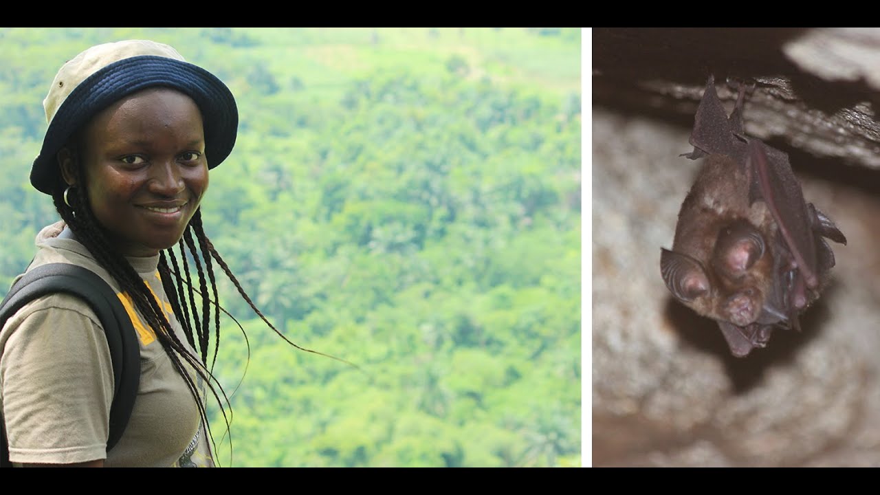 Endangered Wildlife Iroro Tanshi Bridging the Gap Between Tradition and Climate Change