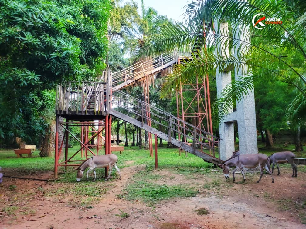 University of Ilorin Zoological Garden – a family-friendly fun place to visit in Ilorin featuring various animals and picnic areas.