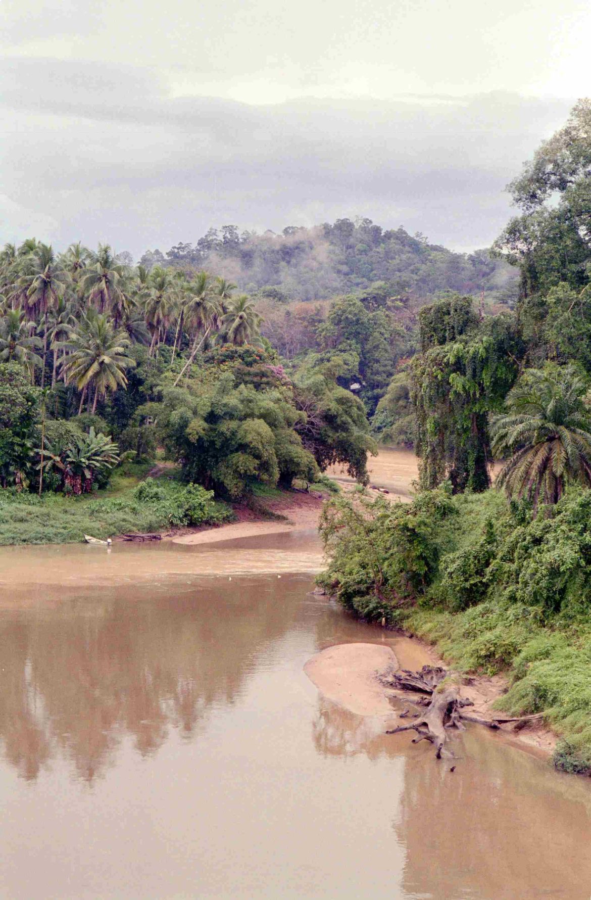 Niger Delta wetlands showcasing biodiversity and local culture