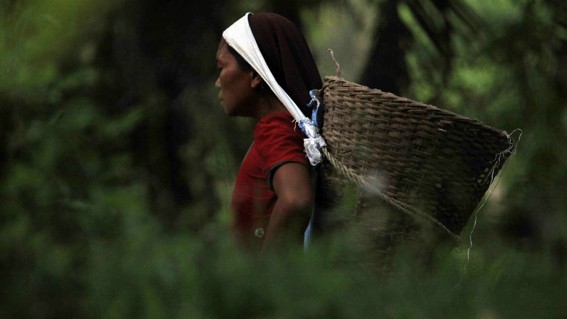 Nigerian rural women conserving biodiversity through farming and indigenous knowledge in 2025