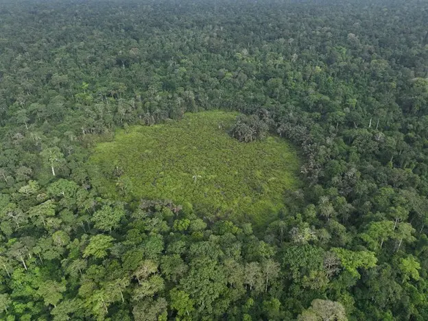 Aerial view of Okomu National Park rainforest with dense canopy and wildlife habitats in Edo State, Nigeria