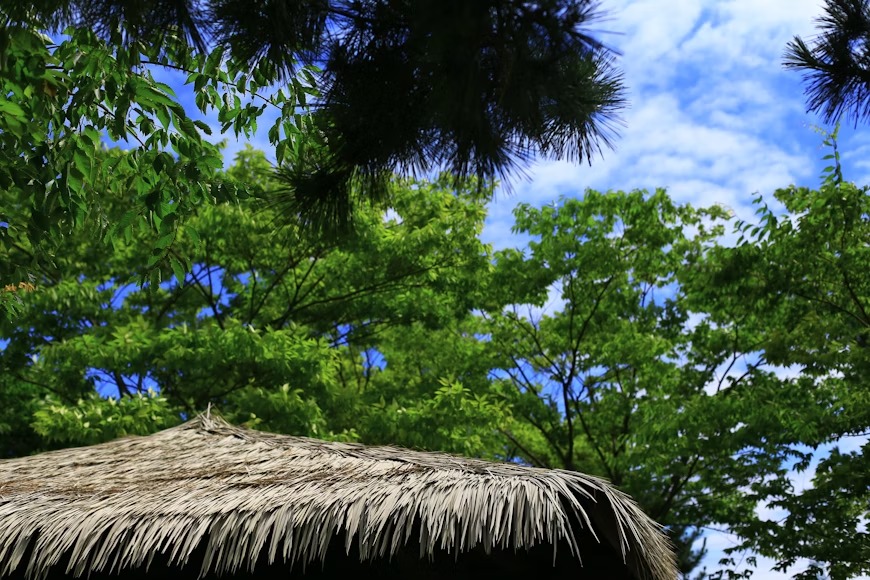 Eco-Friendly Staycation Ideas in Port Harcourt.